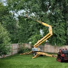 Best Lawn Renovation and Restoration  in Medfd, OR