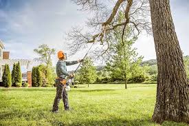 Best Lawn Grading and Leveling  in Medfd, OR