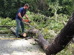 Best Lot and Land Clearing  in Medfd, OR