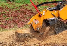 How Our Tree Care Process Works  in  Medford, OR