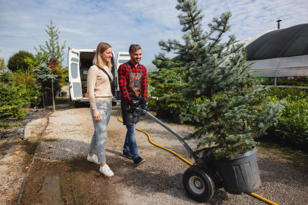 Best Firewood Processing and Delivery  in Medfd, OR